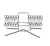        Figure 4.6
Plasma Membrane Proteins